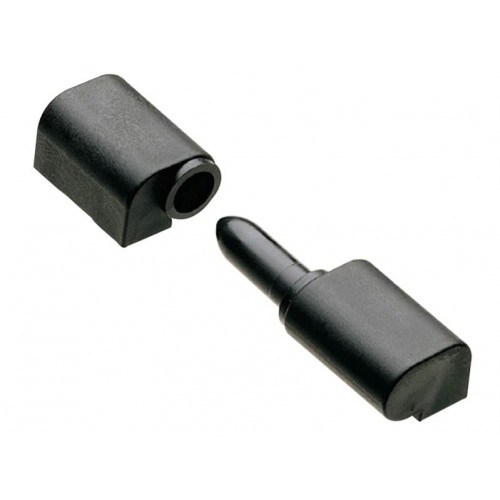 Plastic Lift-Off Hinge